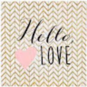 Meet your Posher, Hailies